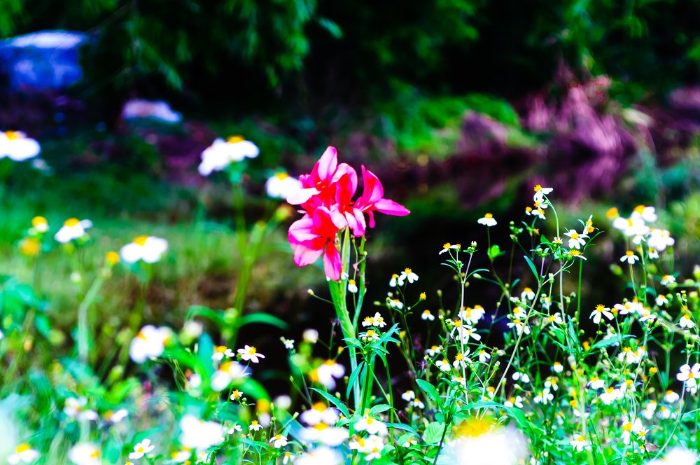 Фотография автора Nguyễn Dặng