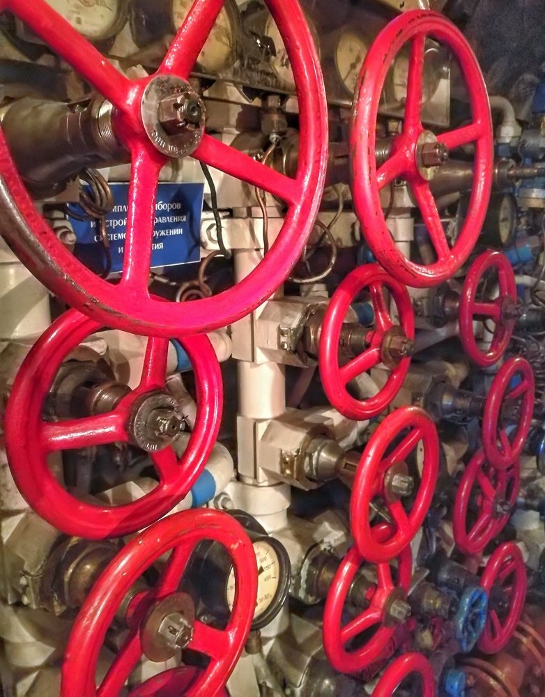 Photograph by Aleksandra