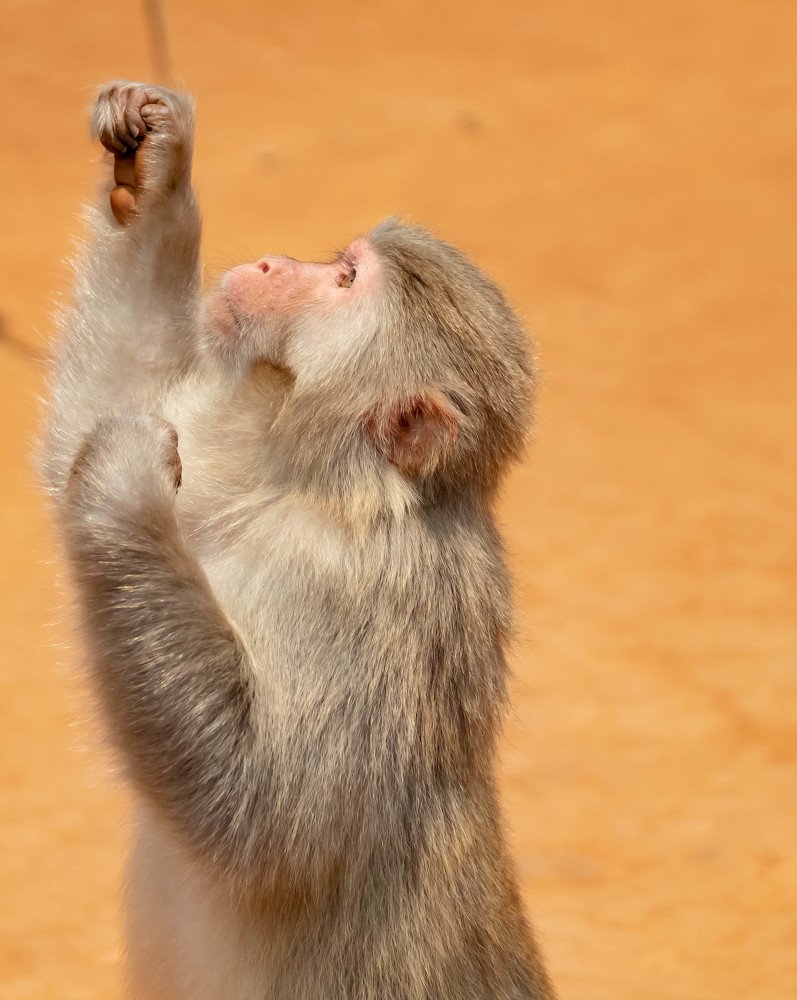 Photograph by Мари Полищук