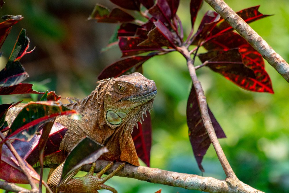 Photograph by Мари Полищук