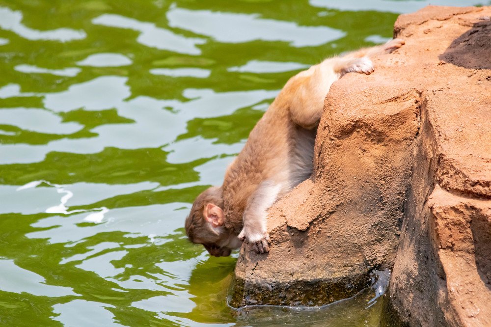 Photograph by Мари Полищук