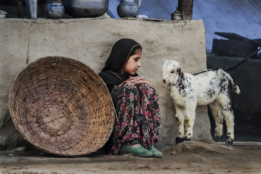 Фотография автора SANJAY BOSE