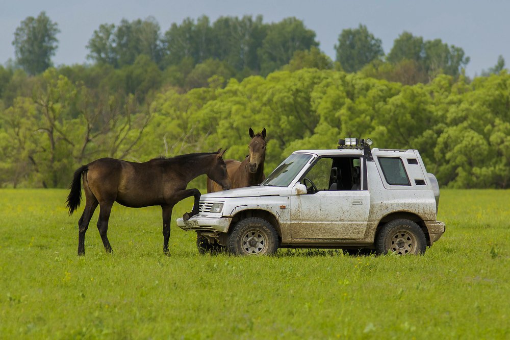 Photograph by Волгина Елена