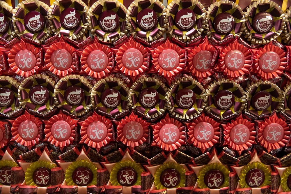 Photograph by Альбина Рычкова