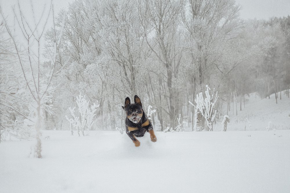 Photograph by Алина Фаизова