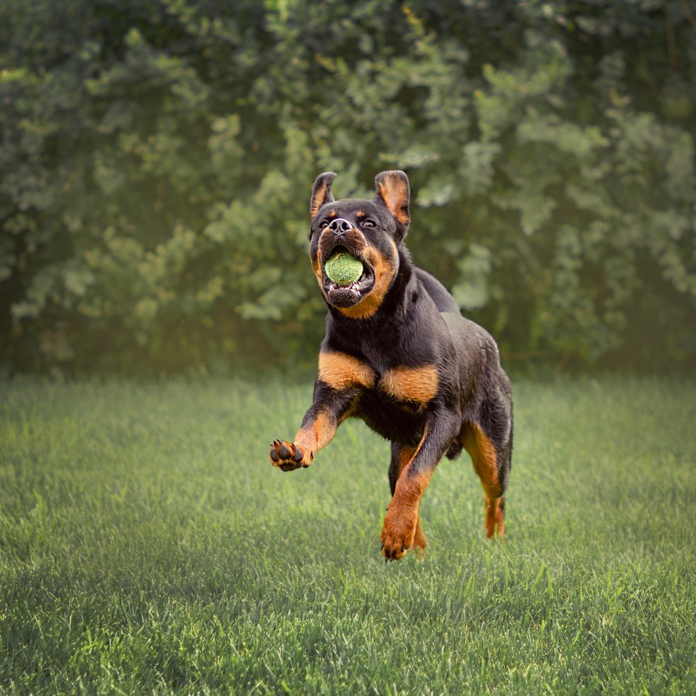 Photograph by Алина Фаизова