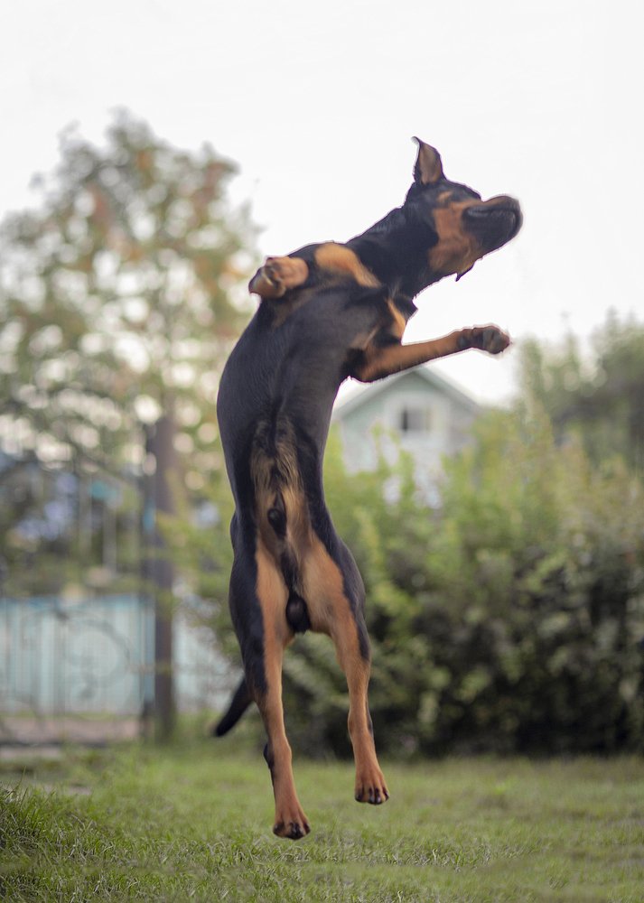 Photograph by Алина Фаизова