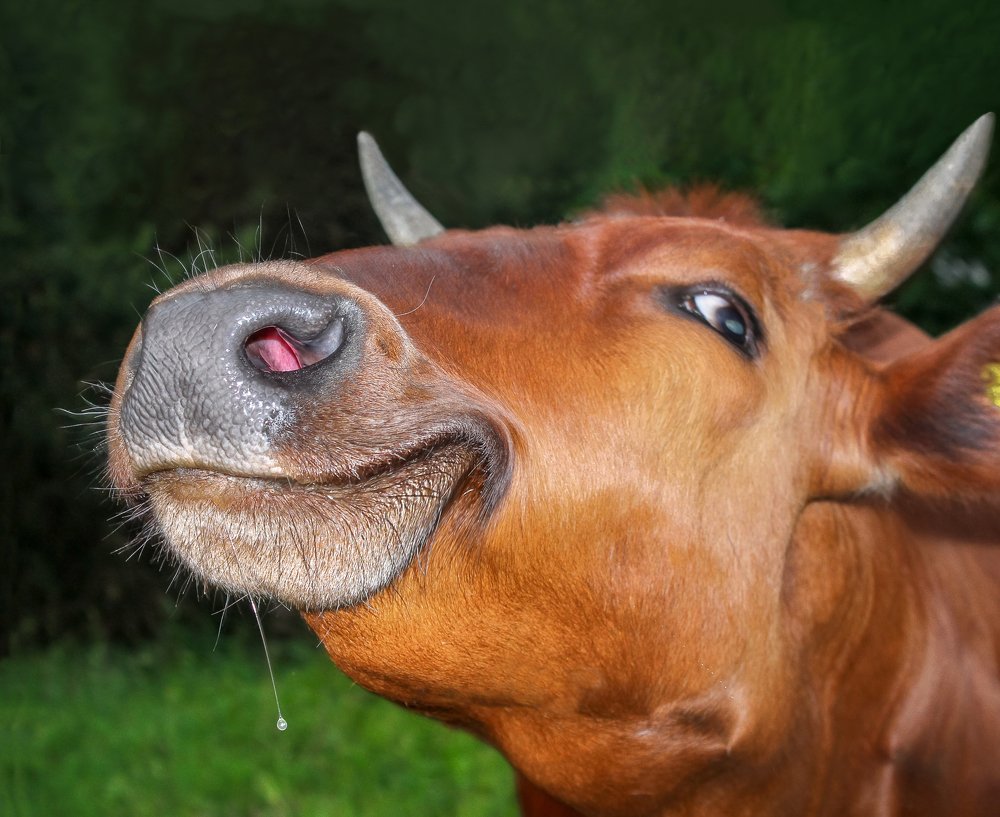 «С первого взгляда»