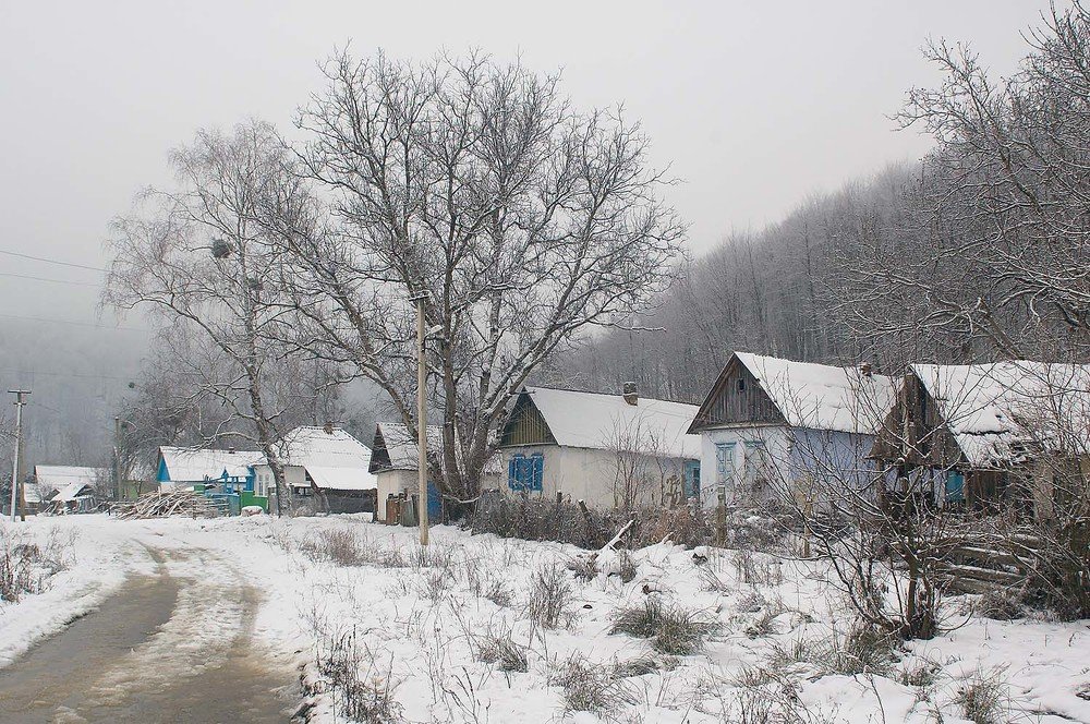 Photograph by Евгений Киселев