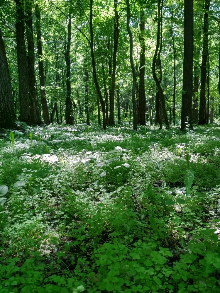 Photograph by Анна Копанева