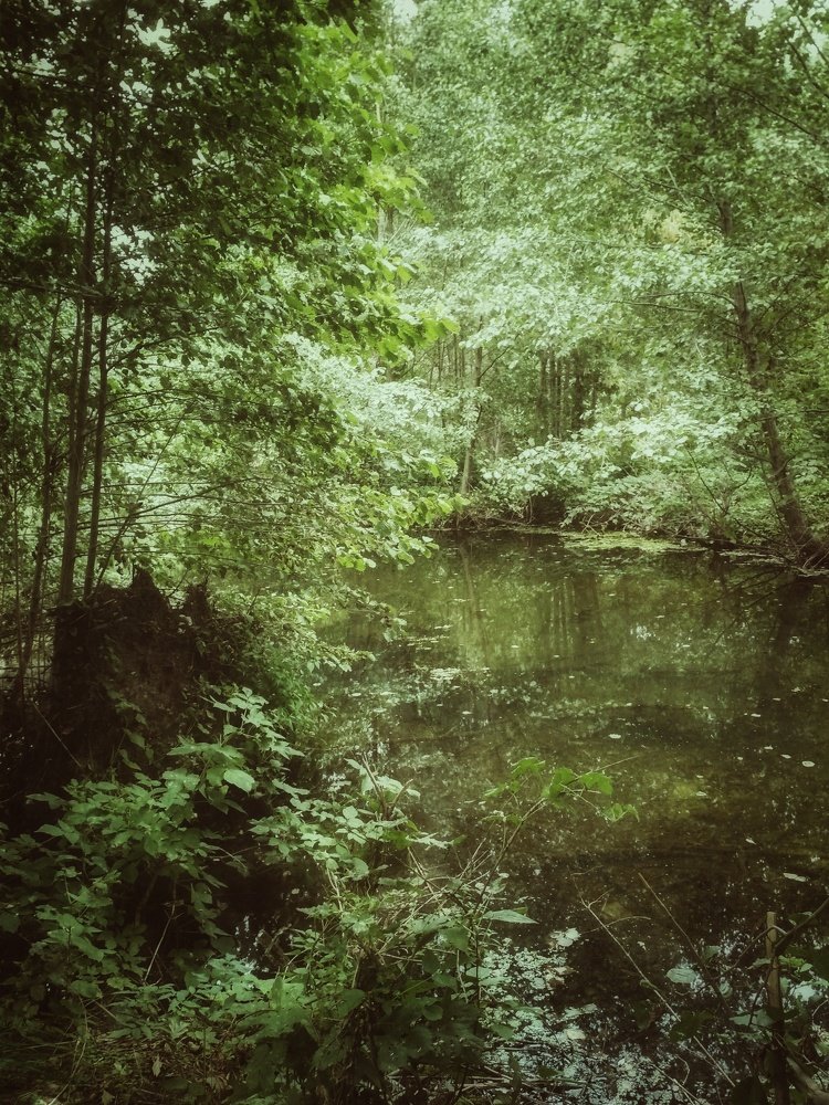 Photograph by Анна Копанева