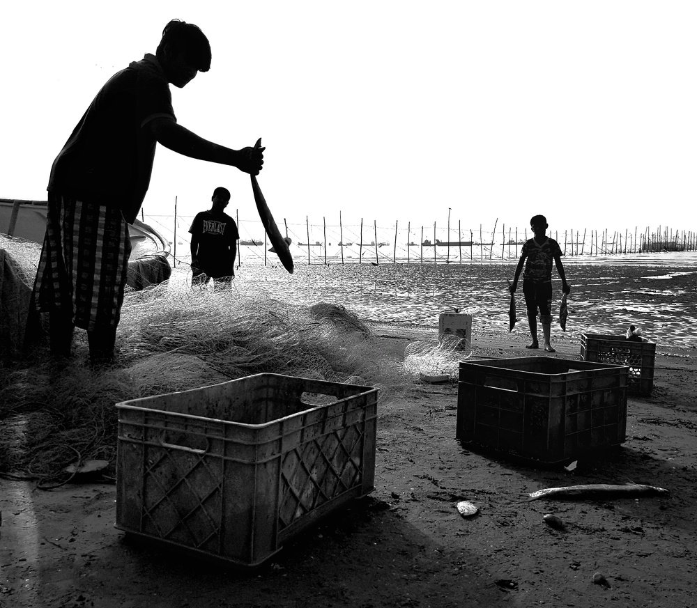 Photograph by  Mobin Mayeli