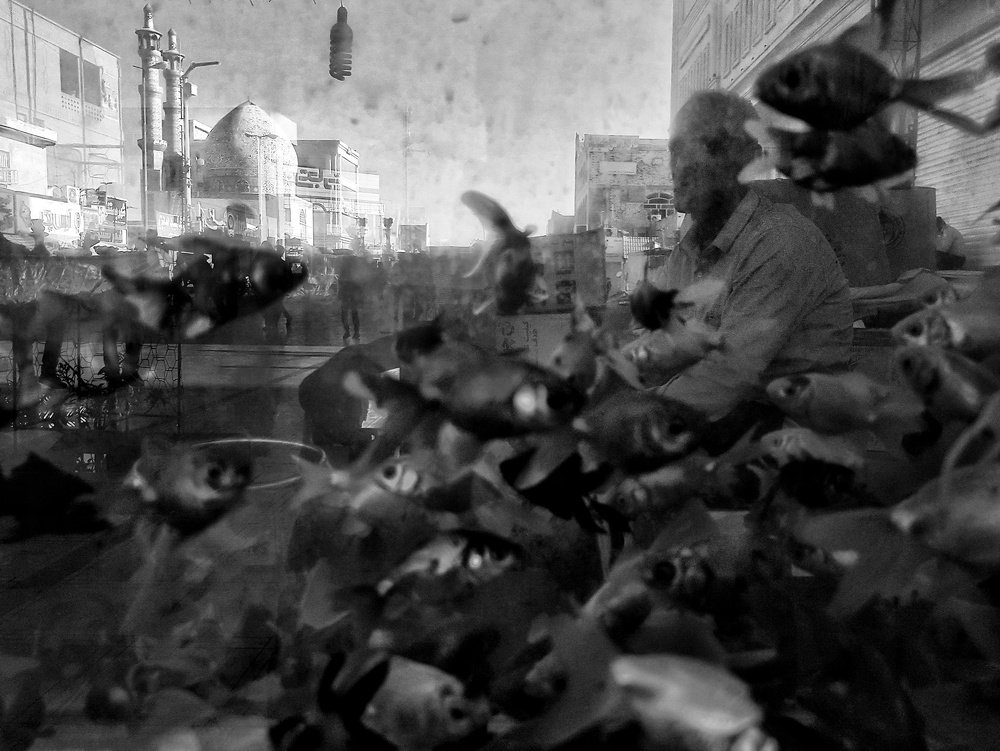 Photograph by  Mobin Mayeli