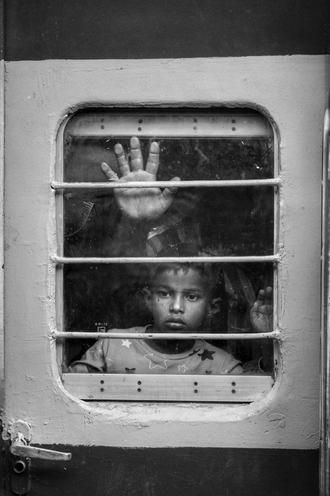 Photograph by Sk. Md. Yeasir Arafat Shohag