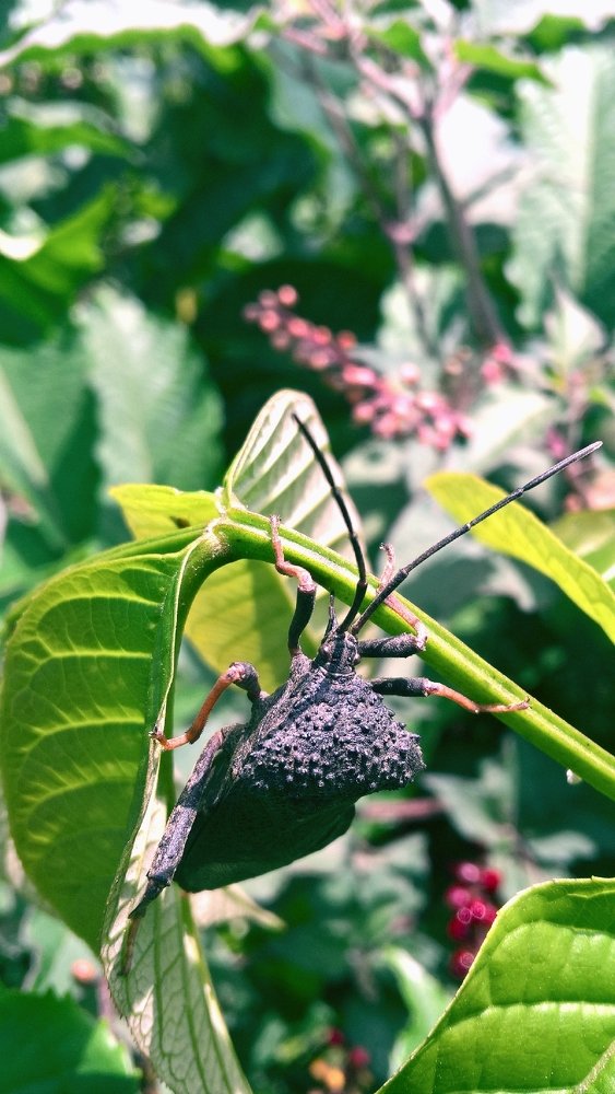 Фотография автора serubogo vicentes