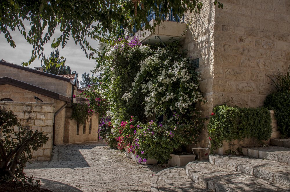 Photograph by Sabina Braginski