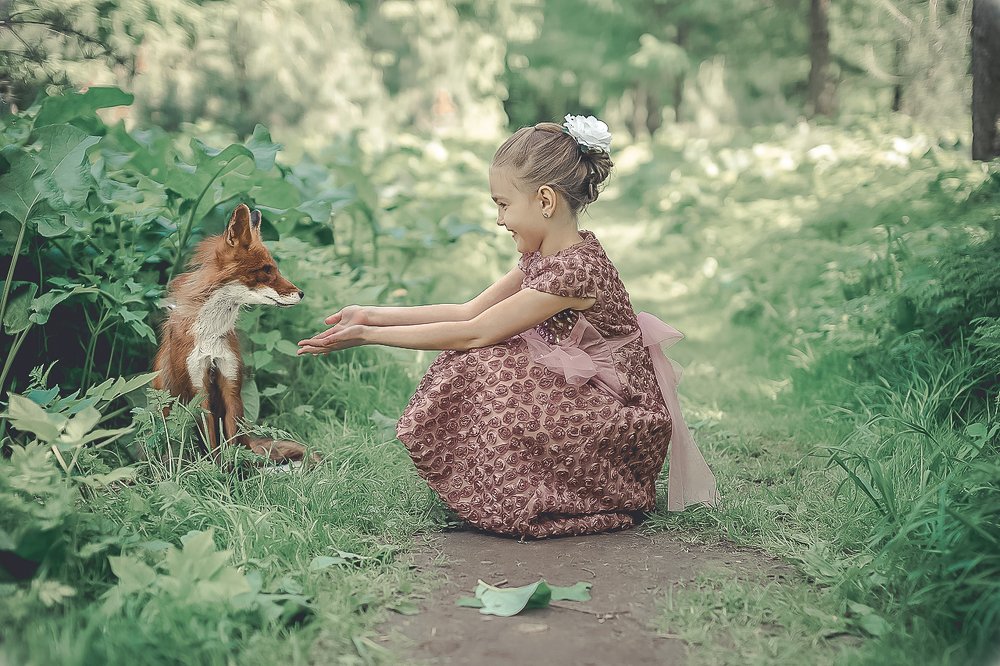 Фотография автора Ольга Осипова