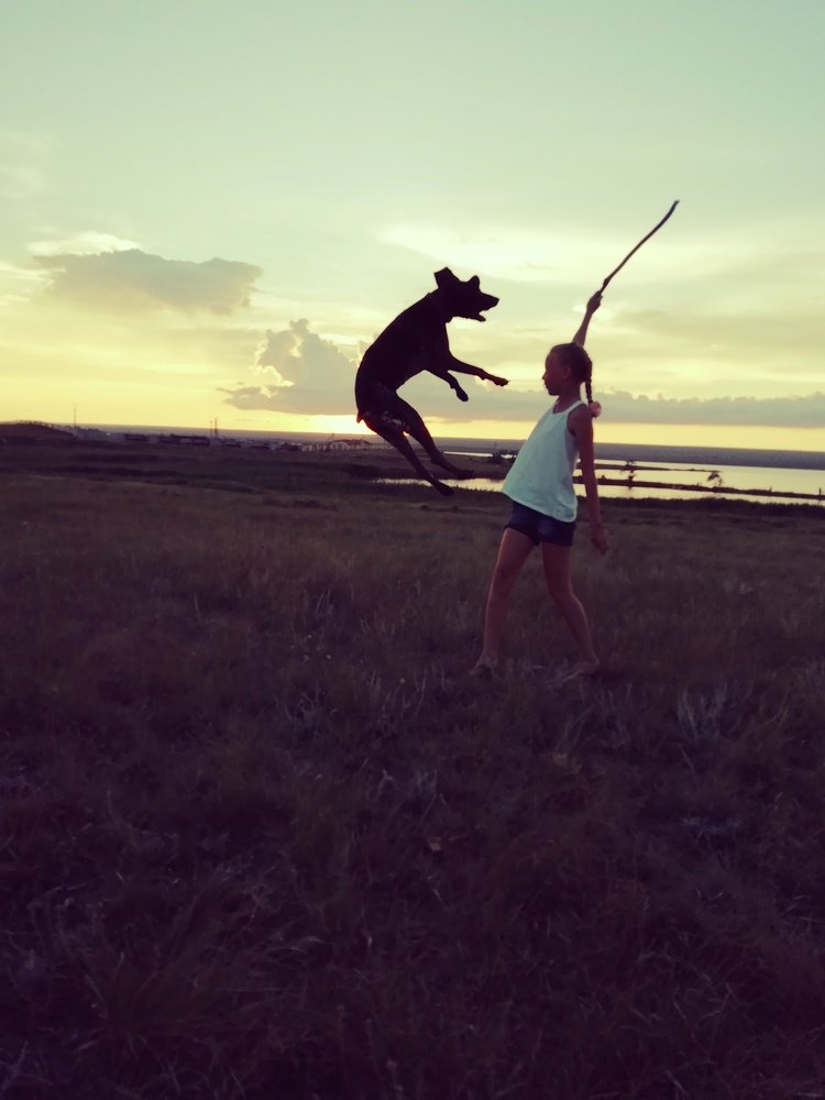 Photograph by Дмитрий