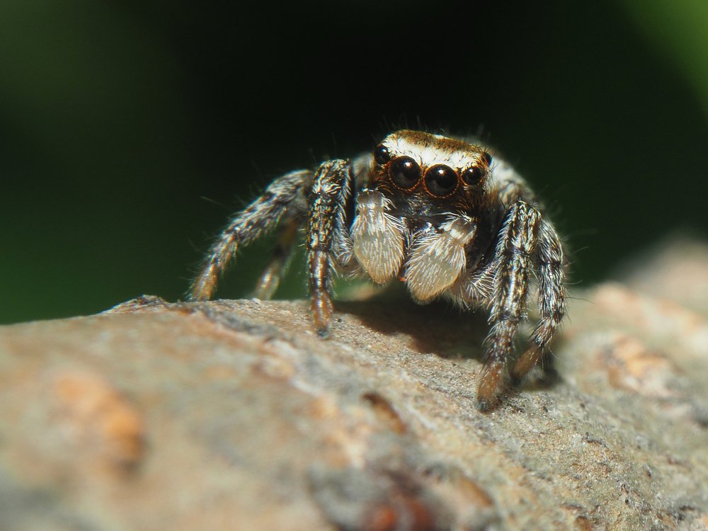 Photograph by Евгения Чепурная