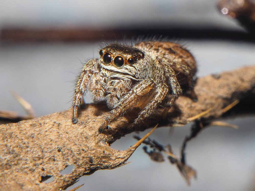 Photograph by Евгения Чепурная