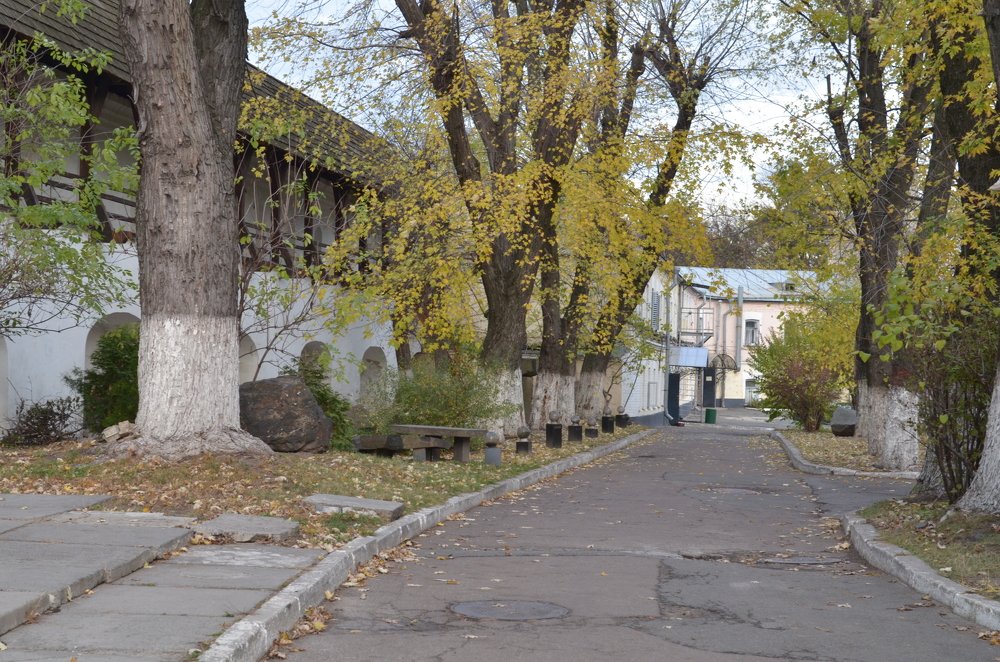 Фотография автора Владимир Брызгунов