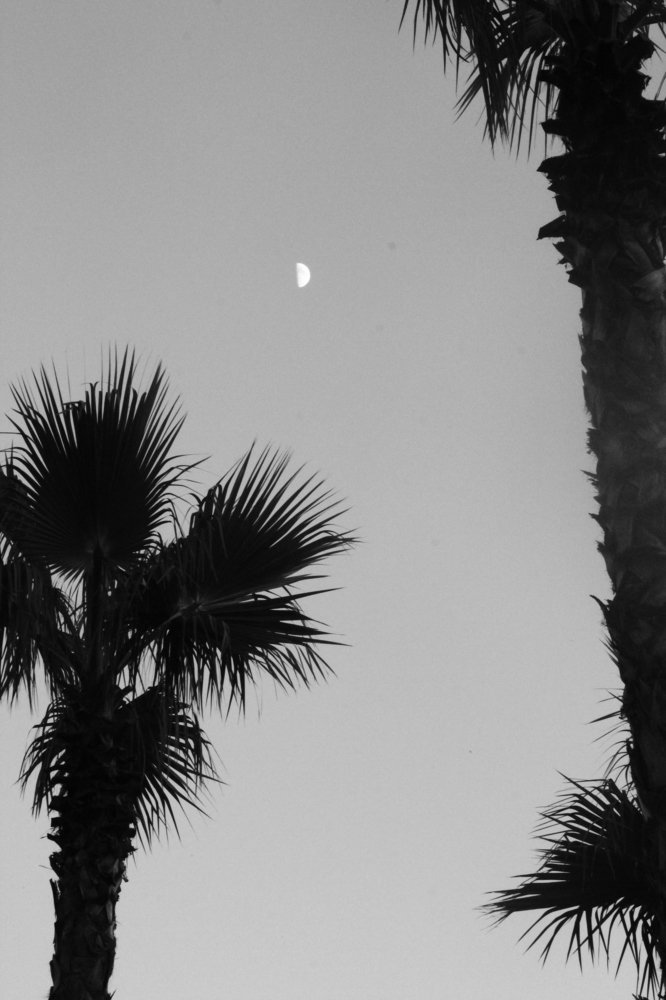 Photograph by Ангелина Журавлева