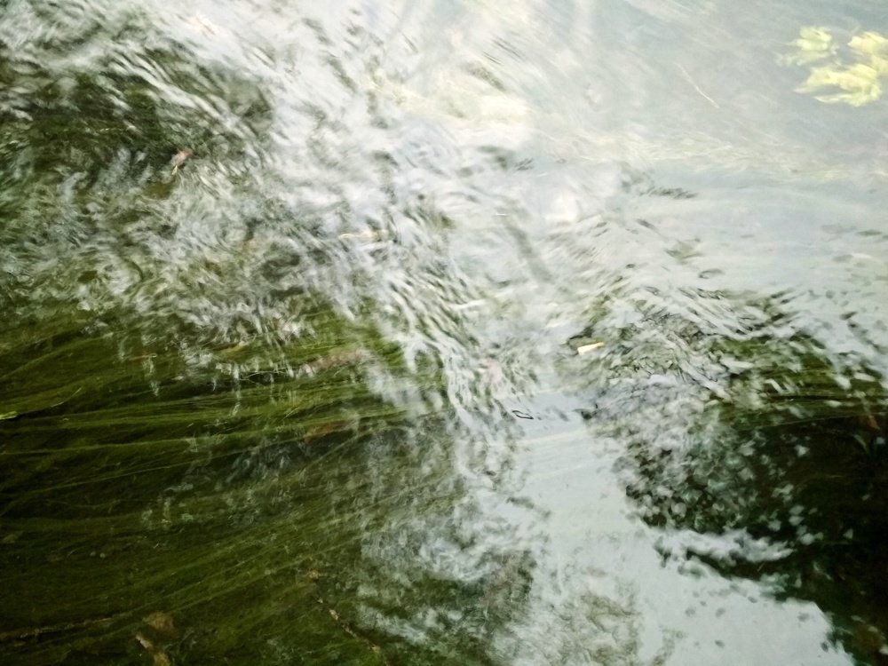 Photograph by Анна Копанева