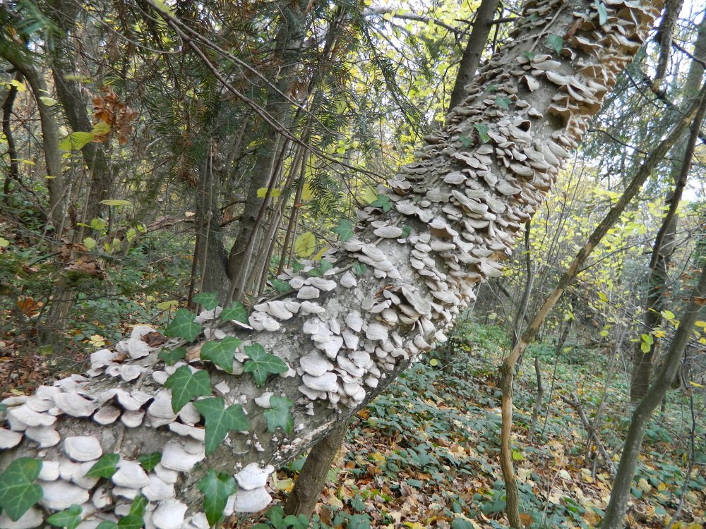 Photograph by Сергей Рапопорт