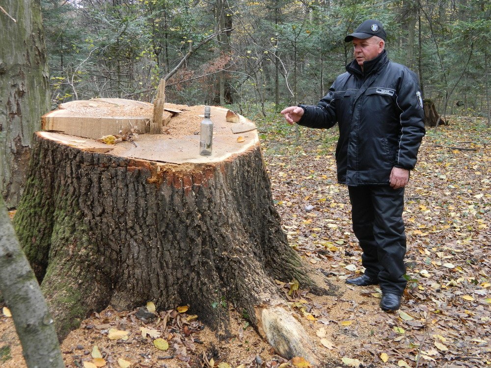 Photograph by Сергей Рапопорт