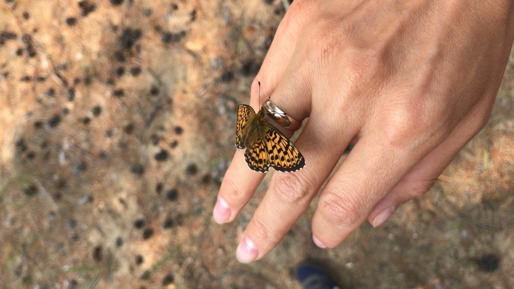 Photograph by Светлана Безлепкина