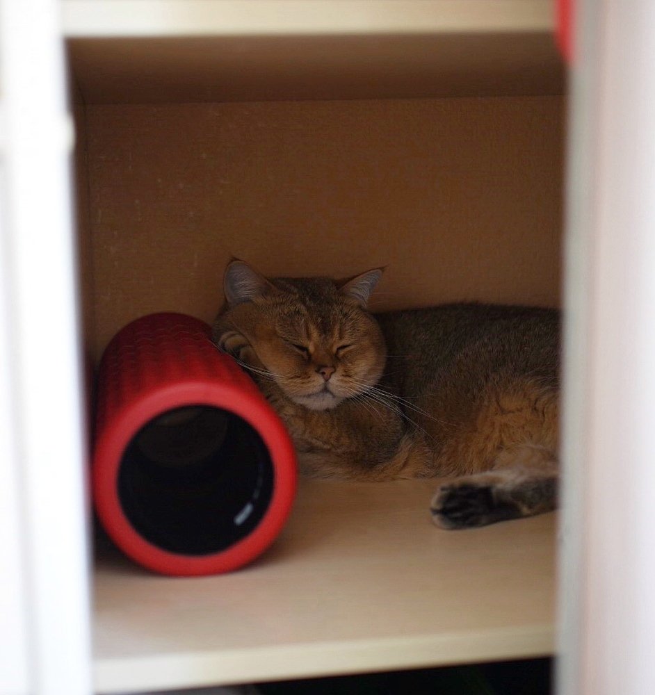 Photograph by Светлана Безлепкина