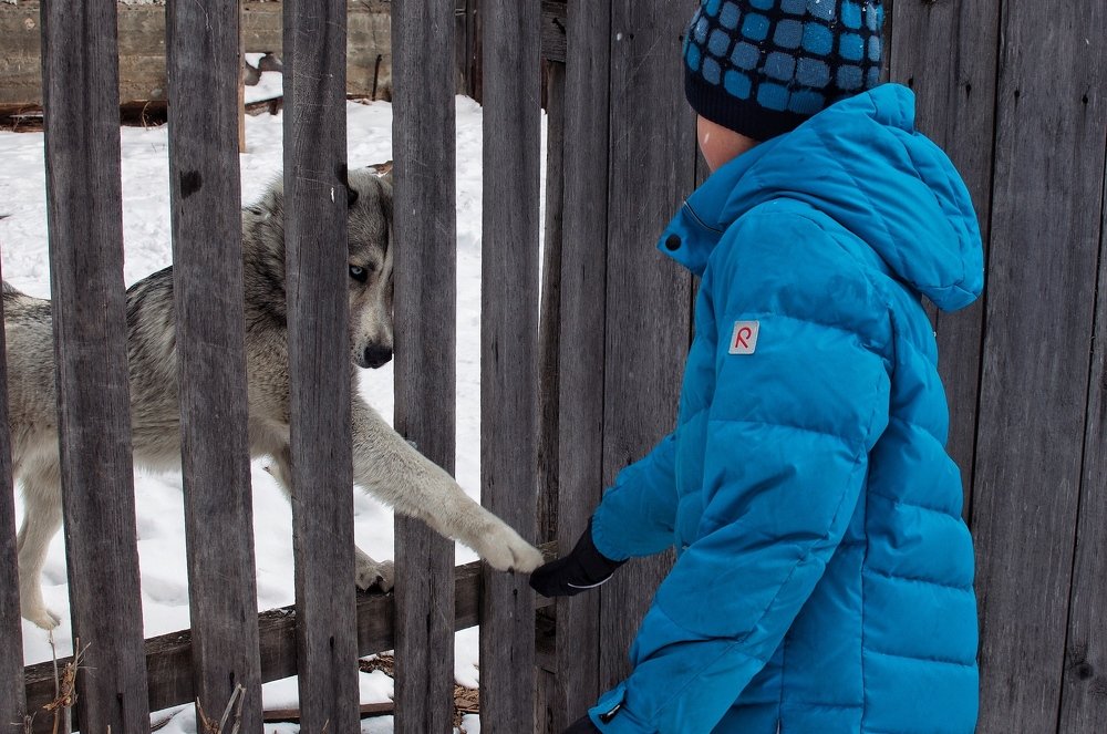 Photograph by Светлана Безлепкина