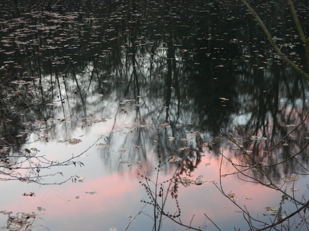 Отражение в пруду