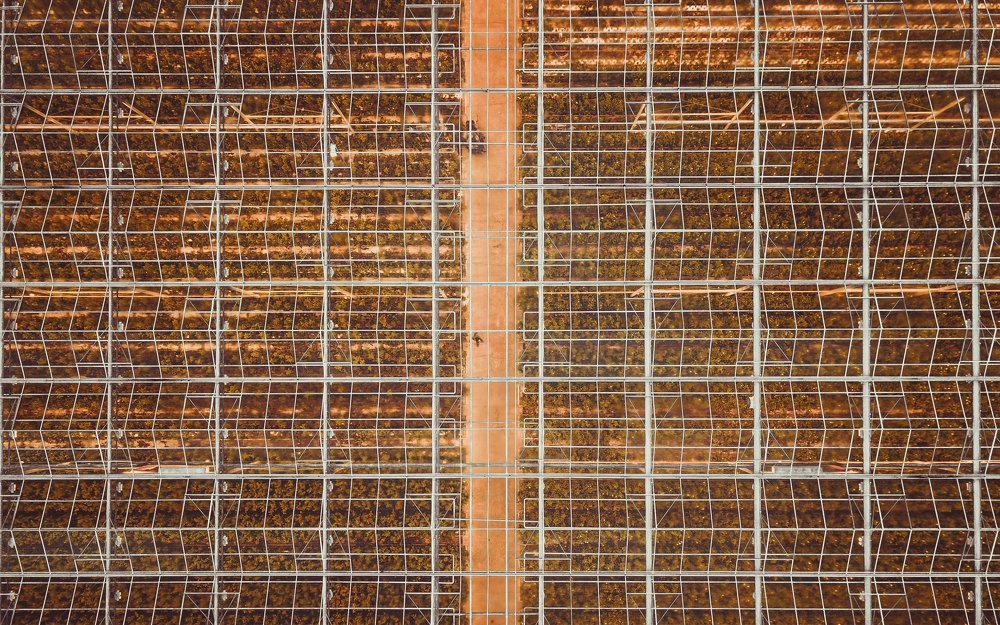 Фотография автора Dmitry Leonov