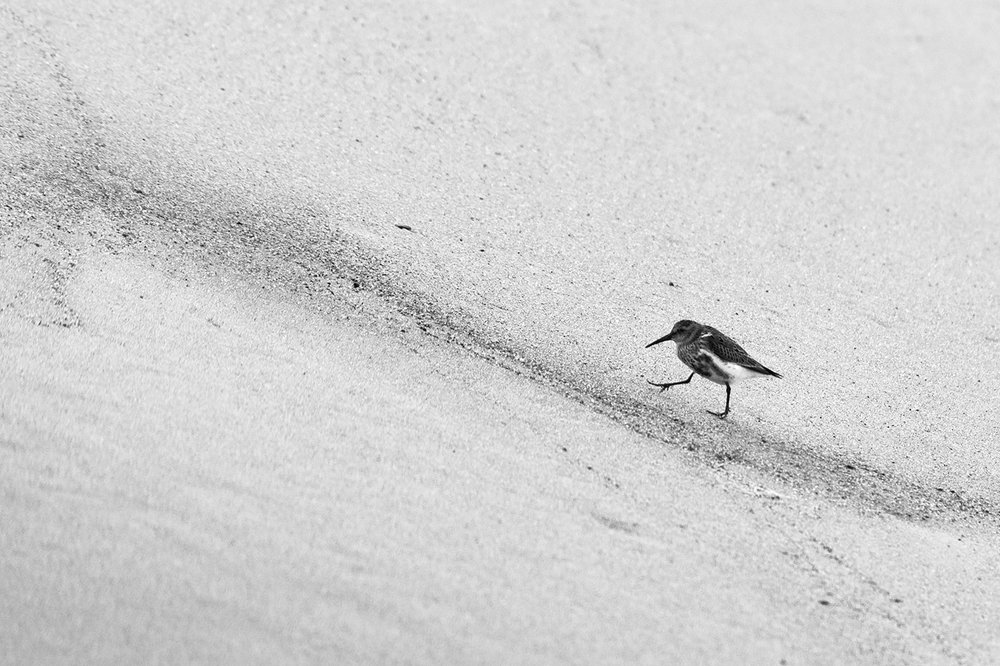 Злые вы, уйду я от вас... / You're evil, I'll leave you ...