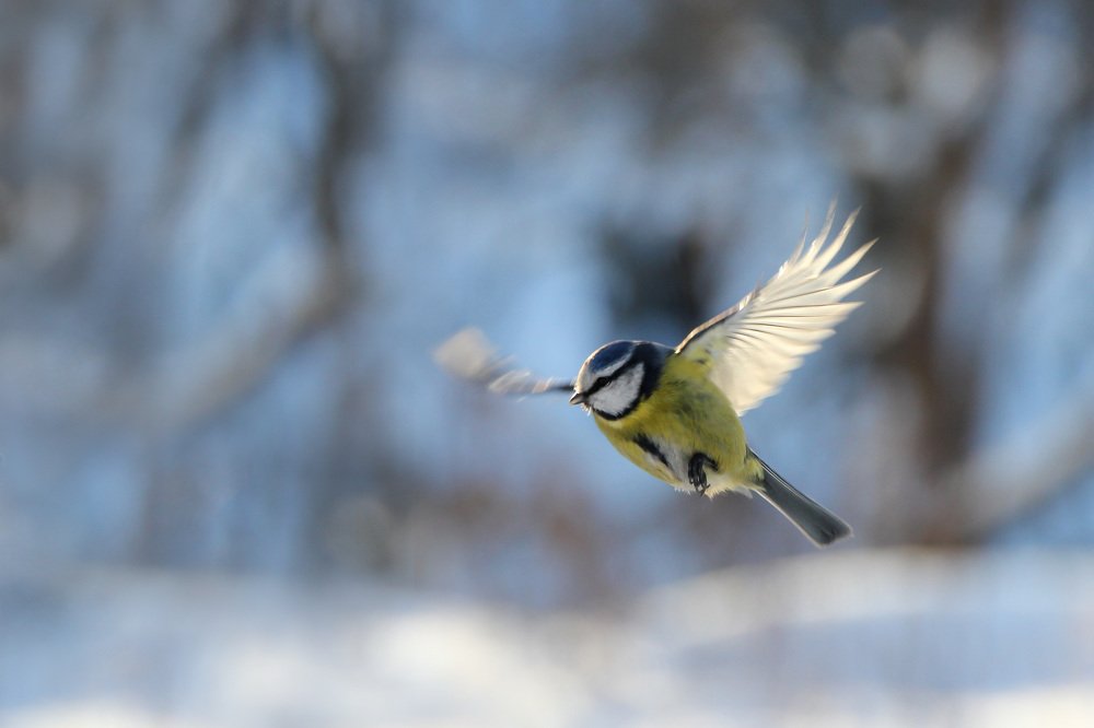 Photograph by Наталья Гайдукевич