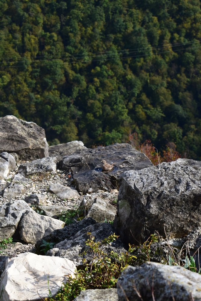 Photograph by Екатерина Вострякова