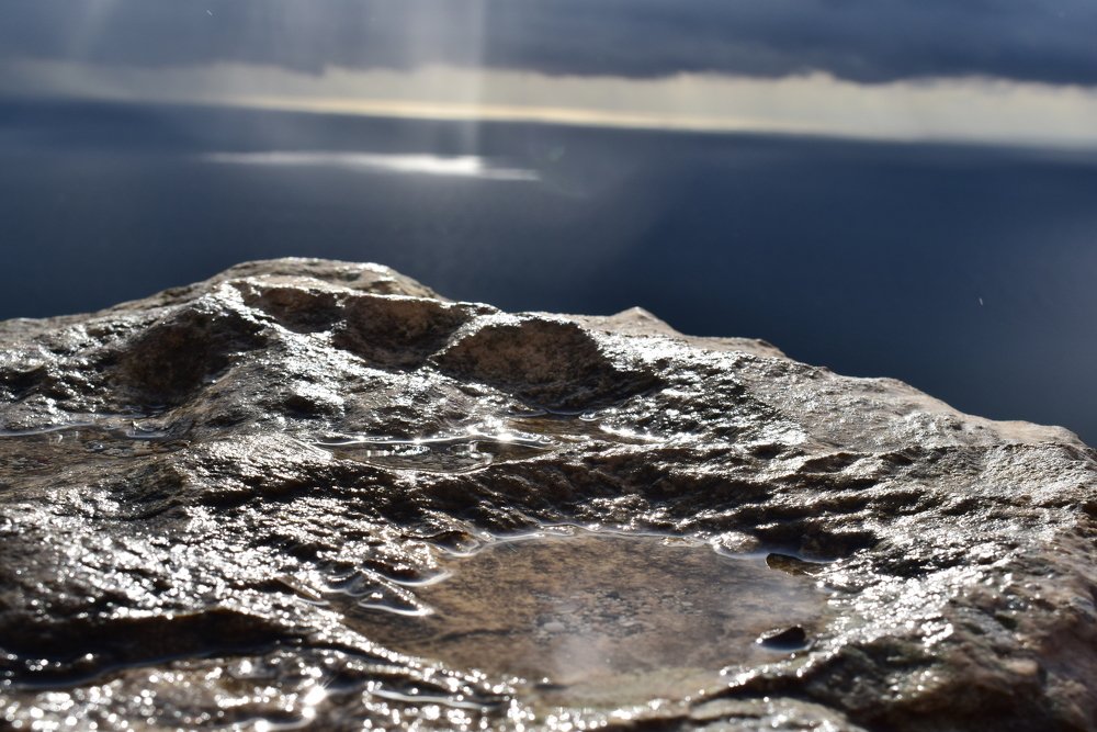 Photograph by Екатерина Вострякова