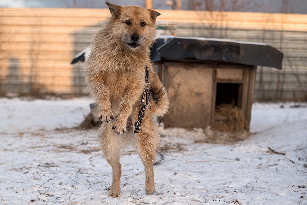 Photograph by Анна Мартынова