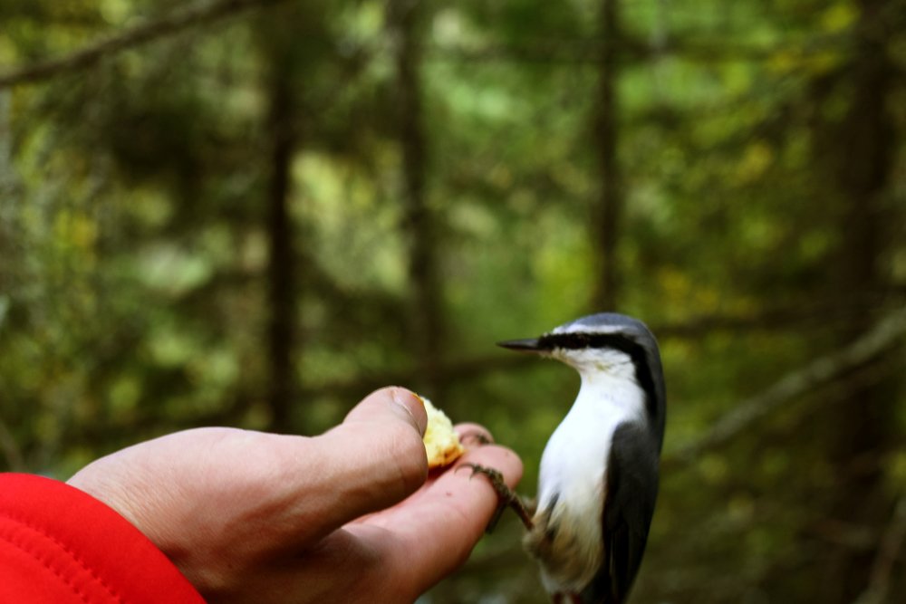 Photograph by Екатерина Вострякова
