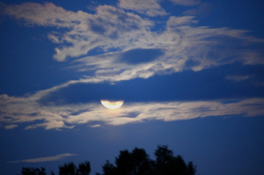Photograph by 