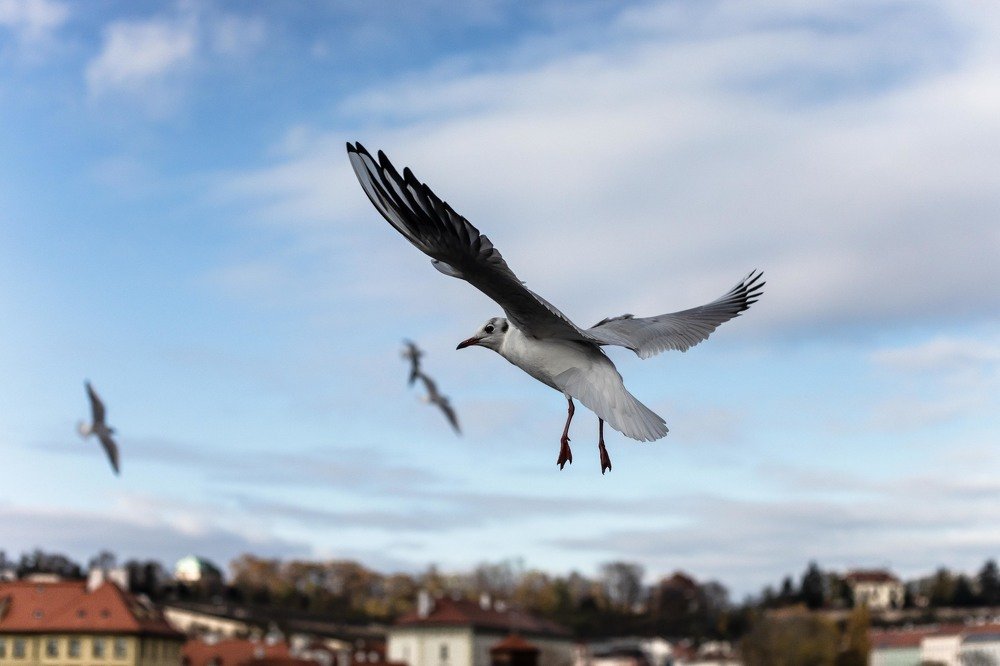 Фотография автора Мария Сурмачева