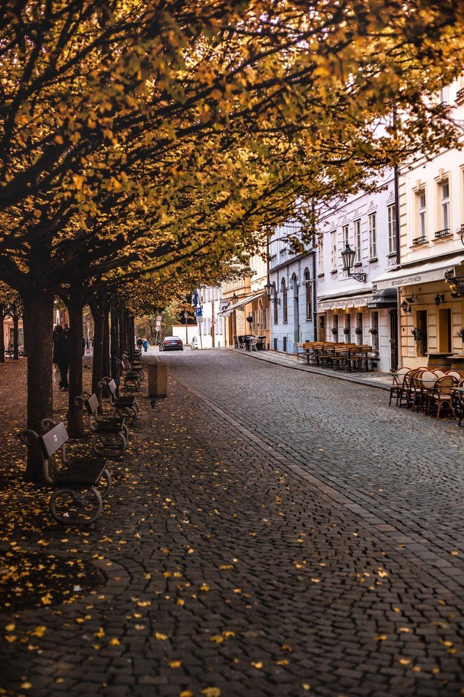 Фотография автора Мария Сурмачева