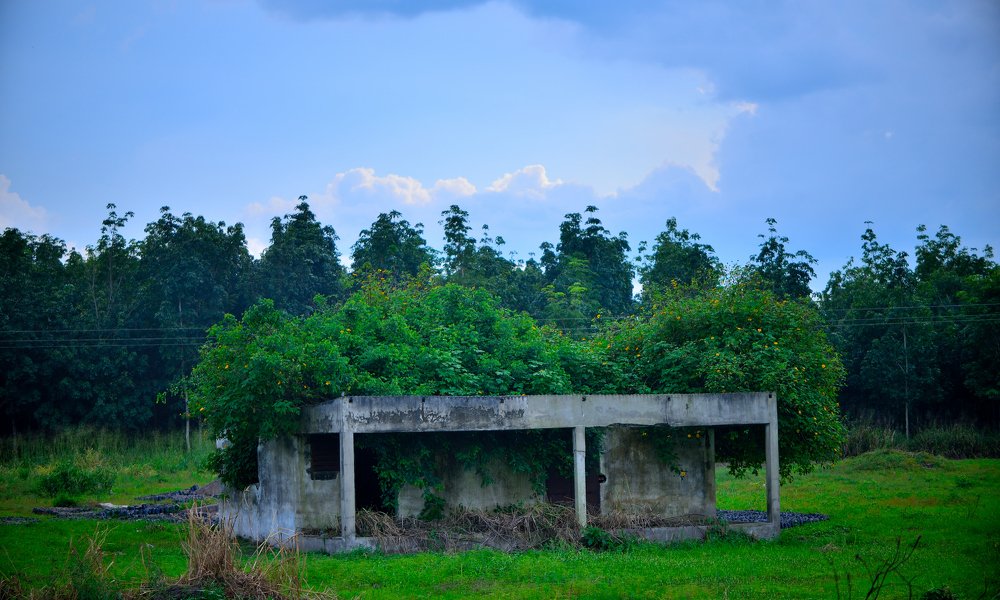 Photograph by Saindou