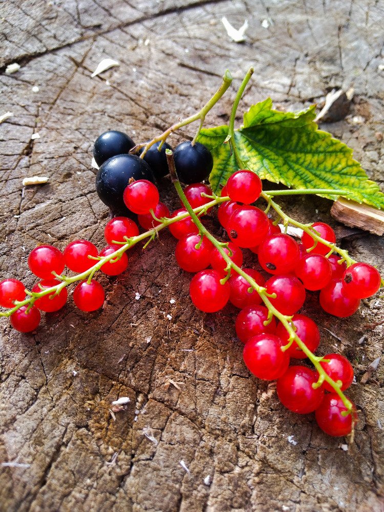 Photograph by Ирина Корабельникова