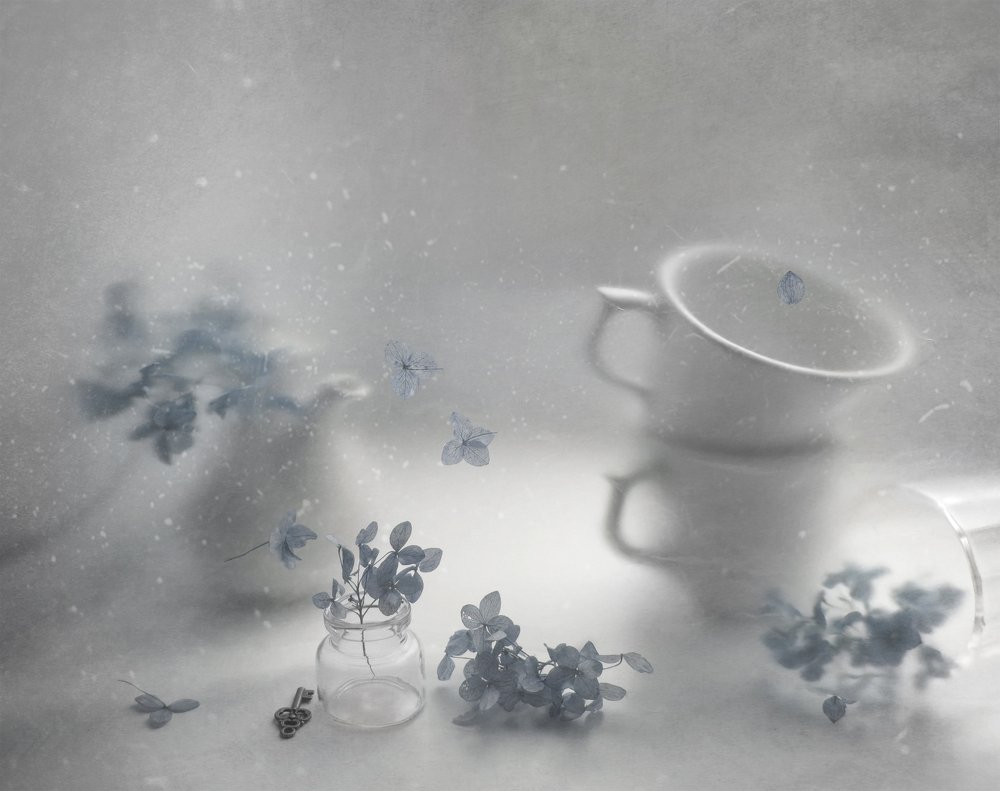 Фотография автора Елена Лысенко