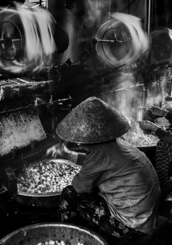 Photograph by Trần Viết Tú