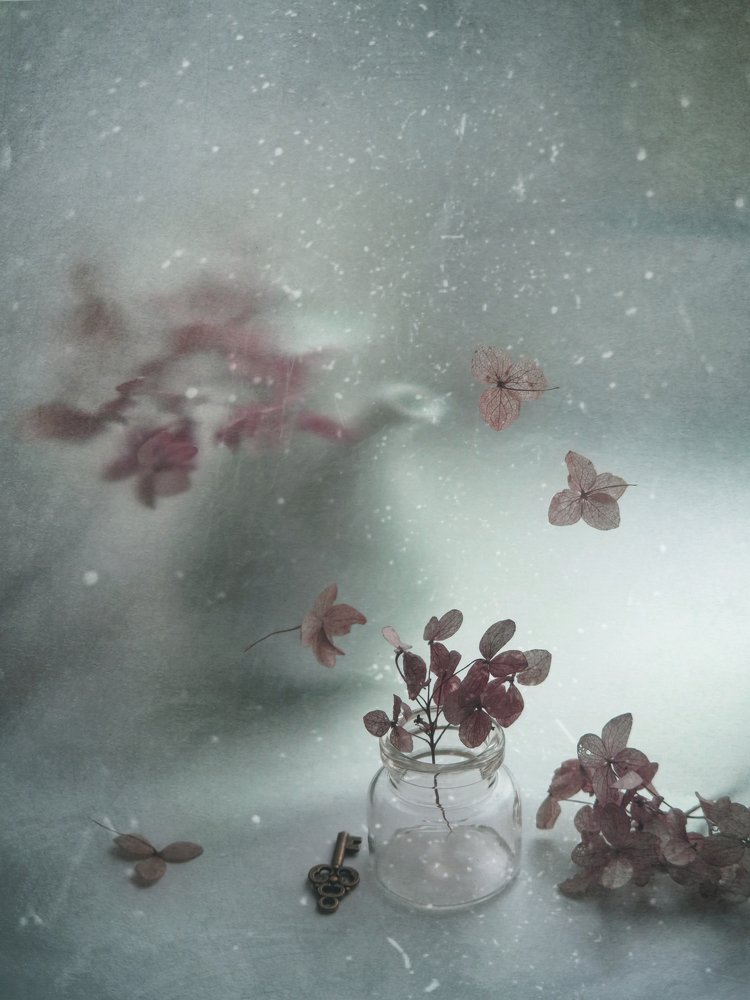 Фотография автора Елена Лысенко