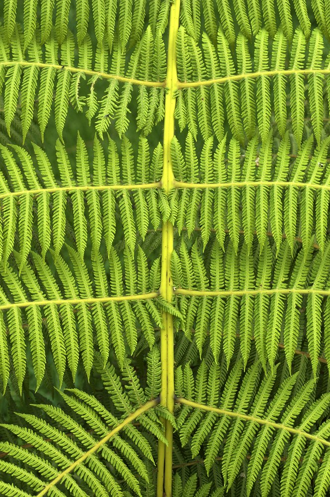 Photograph by Monoespinosa