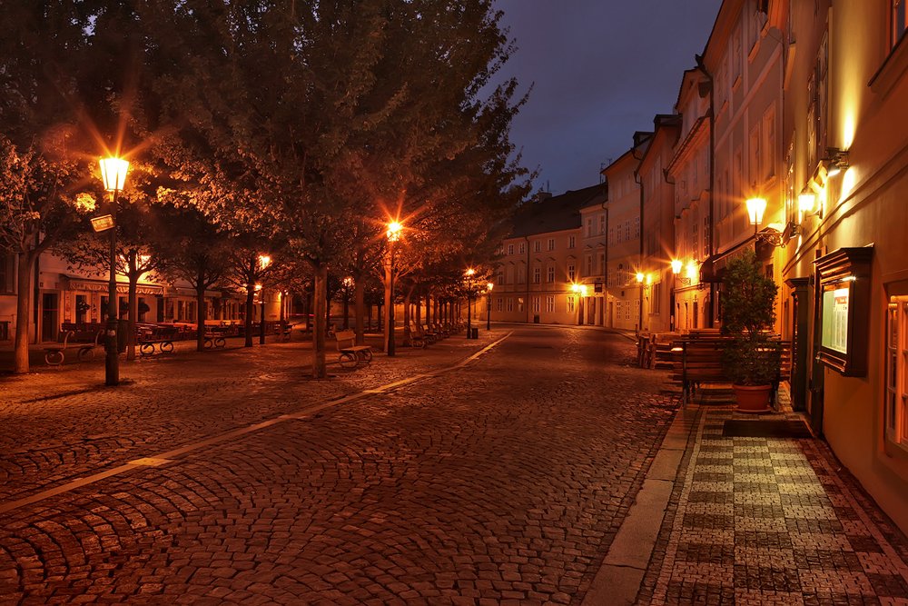 В свете ночных фонарей